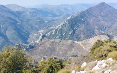 Randonnée thérapeutique dans le Mercantour : ce que la montagne fait vraiment à votre cerveau